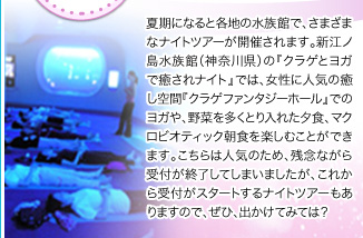 ɂ߂̃iCgcA[